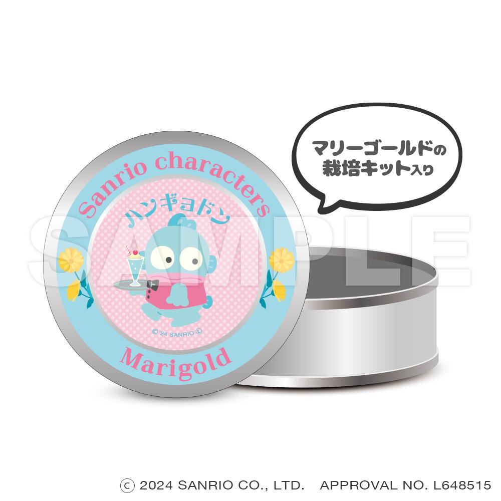 【新品/公式】 サンリオキャラクターズ_マグネット缶ケース（栽培キット入り）_ハンギョドン 公式グッズ 公式ライセンス colleize コレイズ アニメ キャラクター グッズ