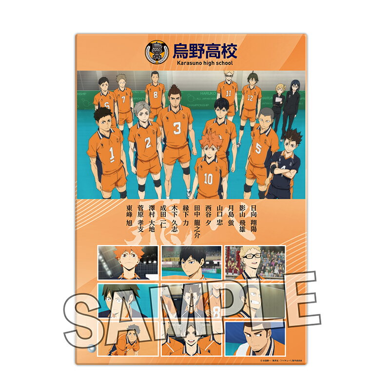 【新品/公式】 ハイキュー!!_思い出パネル　烏野高校 公式グッズ 公式ライセンス colleize コレイズ アニメ キャラクター グッズ