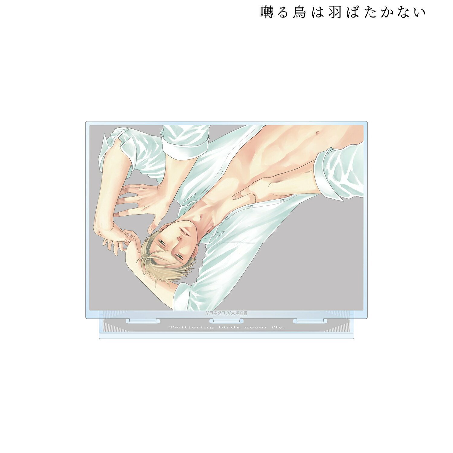 【新品/公式】 囀る鳥は羽ばたかない_表紙イラスト BIGアクリルスタンドF 公式グッズ 公式ライセンス colleize コレイズ アニメ キャラクター グッズ