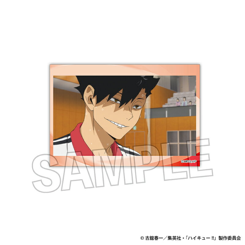 乐天商城 - 【新品/公式】 ハイキュー!!_スタパネ ミニ vol.5　20 公式グッズ 公式ライセンス colleize コレイズ アニメ キャラクター グッズ