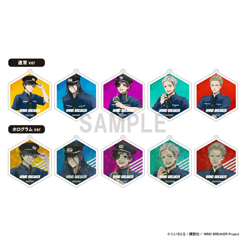  �V�i ����  WIND BREAKER �A�N�����L�[�z��� �[�R���N�V���� �x��ver�@ BOX 10����  �����O�b�Y �������C�Z���X colleize �R���C�Y �A�j�� �L�����N�^�[ �O�b�Y