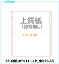 連続伝票用紙 白紙10×11インチ 1P 中ミシン入 2000枚■右真円になりました■