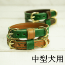 【marco】「グリーン」ベース首輪20【全4種】グリーン ブラウン チョコ 中型犬 送料無料 柴犬 コーギー フレンチブルドッグ ボストンテリア