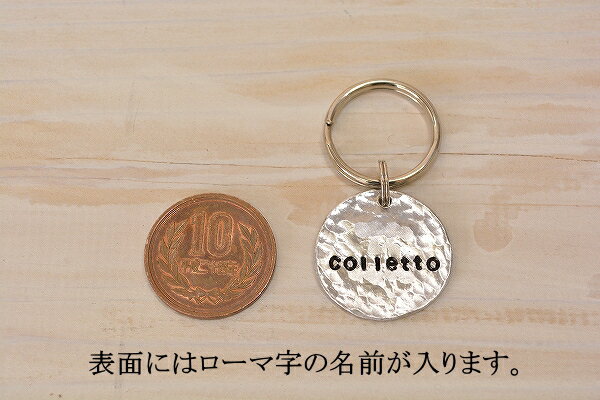 �ڥ������ �͡���������㡼�� �����󥿥��ס۸� �»һ� ���� ���㡼�� ����� �ڥå� �͡���ץ졼�� ǭ ���� �»��ɻ� ��̾�� �����ֹ� ��� ̾���� �ͥå��쥹 �ɥå����� �͡��ॿ�� �͡�����㡼�� �ץ졼�� ̾ ���������꡼ �� �������륳���� �ɥå� �������