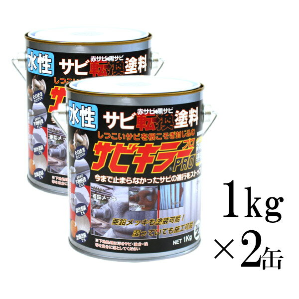 【送料無料】 サビキラーPRO シルバー [ 1kg×2缶セット ] BAN-ZI サビキラープロ 色 プロ pro 水性