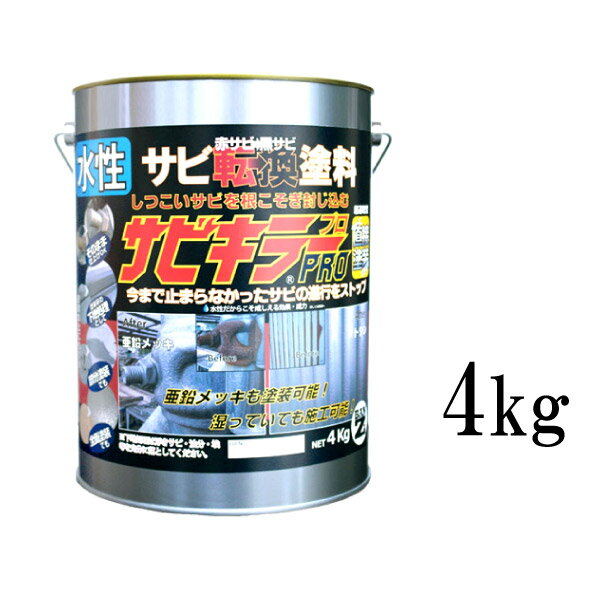 【送料無料】 サビキラーPRO シルバー 4kg BAN-ZI サビキラープロ 色 プロ pro 水性