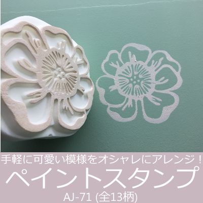 ڥȥ 硦2ĥå[AJ-71] 