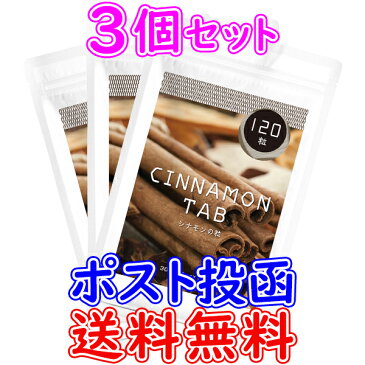 シナモンの錠剤 120粒【3個セット】 【メール便送料無料】身体の毛細血管にあるTie2（タイツー）に影響 抗菌 殺菌 老化防止 シミ シワ たるみ 血管年齢 エイジングケア Tie2 ニッキ ケイ素 肉桂 スーパーフード P10倍[UD]