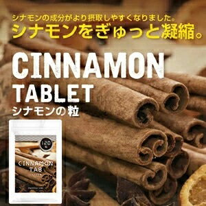 シナモンの錠剤【120粒】 【メール便送料無料】身体の毛細血管にあるTie2（タイツー）に影響 抗菌 殺菌 老化防止 シミ シワ たるみ 血管年齢 エイジングケア コレステロール 血行不良 Tie2 ニッキ ケイ素 肉桂 スーパーフード ポイント10倍