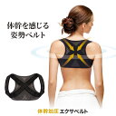 【ポスト投函送料無料】体幹加圧エクサベルト【サイズ:M / L】BODY CORE SHAPER 体幹 加圧 姿勢 猫背 肩甲骨 背筋 姿勢ベルト インナー 着...