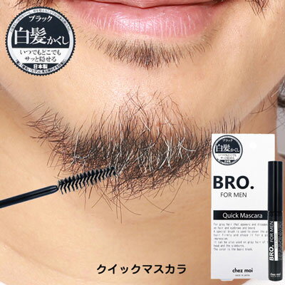 【ポスト投函送料無料】BRO.FOR MEN Quick Mascara（クイックマスカラ）〜眉・髭白髪隠し〜【内容量 6g】ヒゲ ひげ 髭 あごひげ 眉毛 まゆ 白髪 マスカラタイプ シェモア chezmoi ポイント10倍