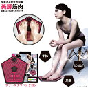 EMS for Foot フットエクサペンタゴン FOOT EXER PENTAGON 電気 EMS 20分1モードタイプ 筋肉足裏 男女兼用 ふくらはぎ トレーニング [ニーズ][ポイント10倍]