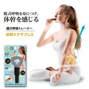 体幹エクサブレス BODY CORE BREATH TRAINER 体幹 姿勢 腹式呼吸 横隔膜 エクサブレス腹式呼吸トレーナー [ニーズ][ポイント10倍]