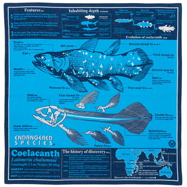 【サイエンス バンダナ シーラカンス ブルー 】動物 生物 魚類 古代魚 深海魚