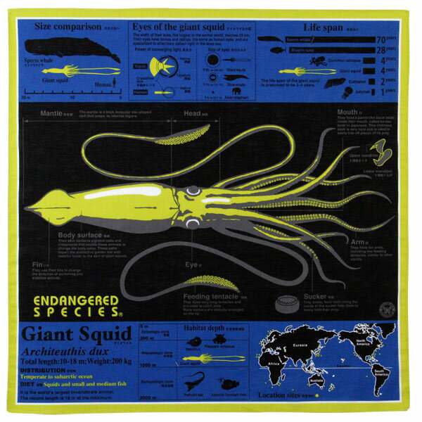 【サイエンス ハンカチ ダイオウイカ ブラック 】動物 生物 深海生物