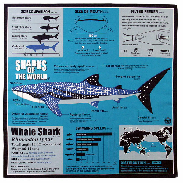 【サイエンス ハンカチ ジンベエザメ ターコイズブルー 】動物 生物 魚類 サメ 鮫