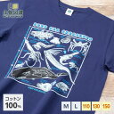 生物図譜Tシャツ 深海の世界 ネイビー | 半袖 イラスト トップス 綿 コットン 100% 大人 メンズ レディース 子供 子ども キッズ M L 110 130 150 深海生物 シーラカンス リュウグウノツカイ ダイオウイカ サメ クジラ ラブカ ペアルック 親子コーデ リンクコーデ 部屋着