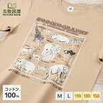 生物図譜Tシャツ 動物地理区1 エチオピア区 カーキ | 半袖 イラスト トップス 綿 コットン 100% 大人 メンズ レディース 子供 子ども キッズ M L 110 130 150 動物 生物 ライオン キリン ハイエナ サイ 男女兼用 ペアルック 親子コーデ リンクコーデ 部屋着