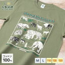 生物図譜Tシャツ 動物地理区2 東洋区 オリーブ | 半袖 イラスト トップス 綿 コットン 100% 大人 メンズ レディース 子供 子ども キッズ M L 110 130 150 動物 生物 トラ クマ サイ ゾウ 男女兼用 ペアルック 親子コーデ リンクコーデ 部屋着