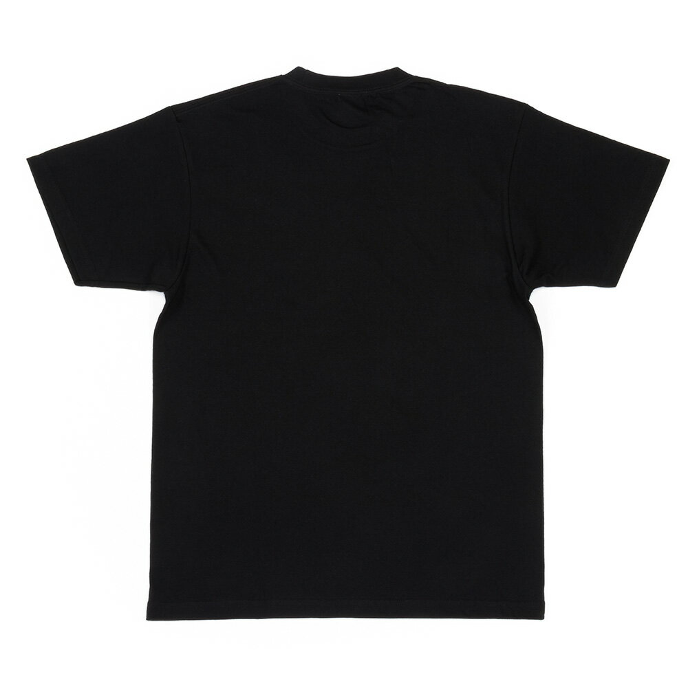 トリケラトプス Tシャツ | カロラータ ミュージアムデザイン 半袖 イラスト トップス 春 夏 秋 綿 100% コットン M L 110 130 150 メンズ レディース 大人 キッズ 子供 子ども 男女兼用 ペアルック 親子コーデ リンクコーデ プレゼント ギフト 部屋着 とりけらとぷす 恐竜