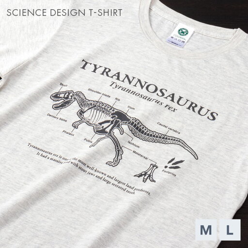 ティラノサウルス 全身骨格 Tシャツ | カロラータ サイエンスデザイン 半袖 リアル イラスト トップス 春 夏 秋 綿 コットン M L メンズ レディース 大人 男女兼用 プレゼント ギフト 部屋着 てぃらのさうるす 恐竜 生物 ティラノサウルス 全身骨格 Tシャツ | カロラータ サイエンスデザイン 半袖 リアル イラスト トップス 春 夏 秋 綿 コットン M L メンズ レディース 大人 男女兼用 プレゼント ギフト 部屋着 てぃらのさうるす 恐竜 生物
