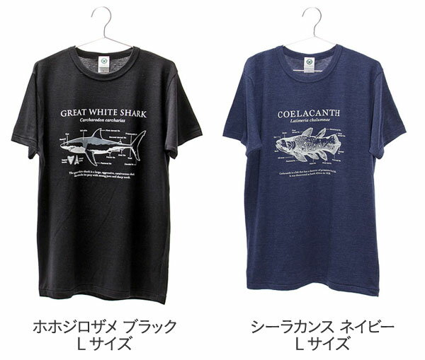 Lサイズ Tシャツ 半袖 サイエンスデザイン 動物 恐竜 サメ 古代魚 シーラカンス オオカミ ティラノ スピノ 洋服 トップス