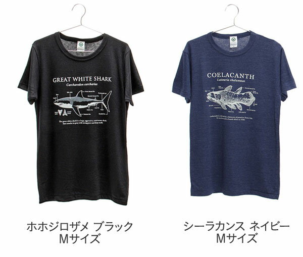 Mサイズ Tシャツ 半袖 サイエンスデザイン 動物 恐竜 サメ 古代魚 シーラカンス オオカミ ティラノ スピノ 洋服 トップス