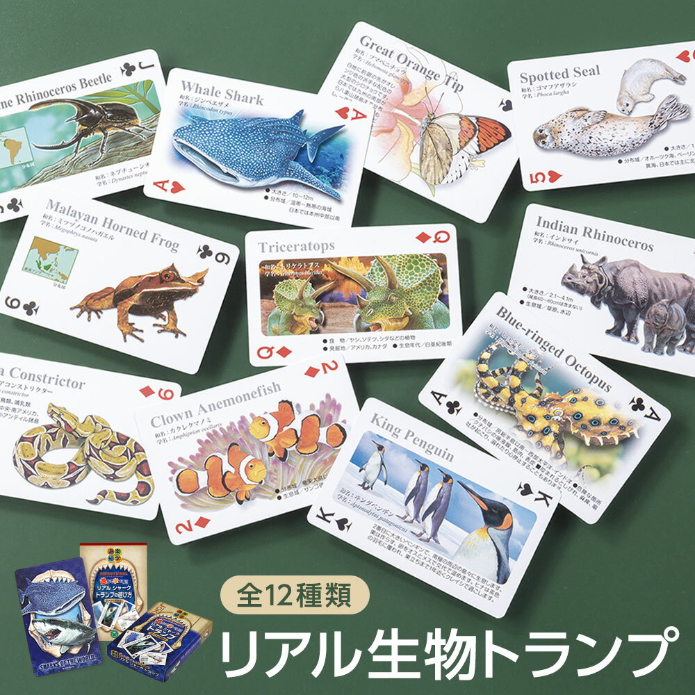 楽天市場】アクティオンゾウカブト(おもちゃ)の通販 楽天市場】アクティオンゾウカブト(おもちゃ)の通販