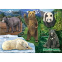 【動物 ミュージアム ジグソーパズル クマの仲間 B5サイズ/330ピース】生物 ゲーム 熊 パンダ