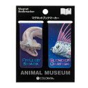 しおり 栞 ラブカ＆リュウグウノツカイ マグネット ブックマーカー 2枚入｜深海生物 深海魚 深海鮫 サメ