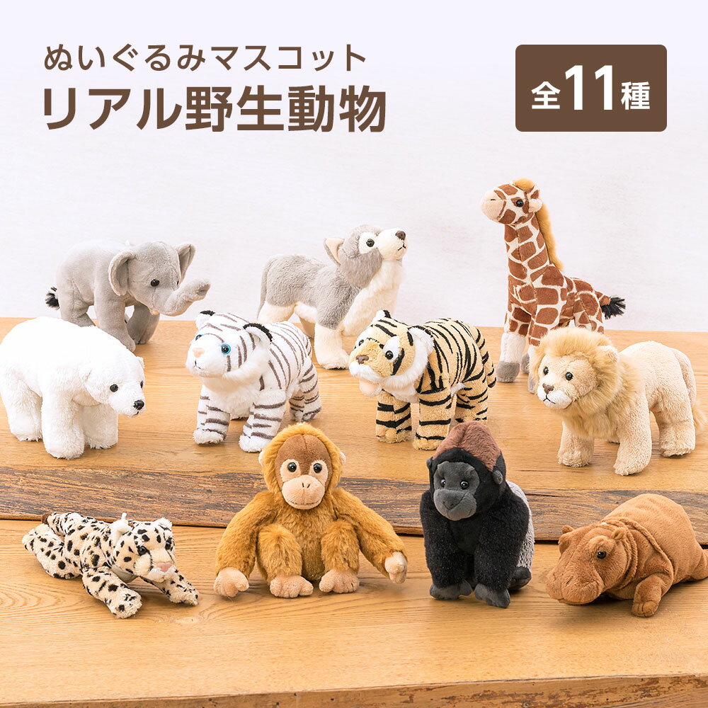 楽天市場】キーホルダー ぬいぐるみ ライオンの通販 楽天市場】キーホルダー ぬいぐるみ ライオンの通販
