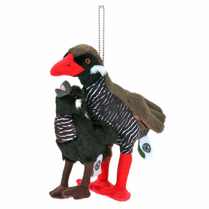 鳥 ヤンバルクイナ ぬいぐるみ マスコット 親子 やんばるの生物のサムネイル