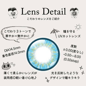 カラコン1dayパーフェクトシリーズワンデーフルブルーム(1箱6枚入)度なし度あり14.5mmコスプレ高発色カラーコンタクトレンズ