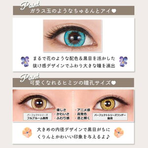 カラコン1dayパーフェクトシリーズワンデーフルブルーム(1箱6枚入)度なし度あり14.5mmコスプレ高発色カラーコンタクトレンズ