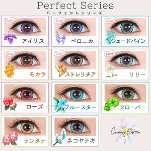 カラコン1dayパーフェクトシリーズワンデーフルブルーム(1箱6枚入)度なし度あり14.5mmコスプレ高発色カラーコンタクトレンズ