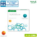 クーパービジョン ワンデーバイオメディックスEV (1箱90枚入り)片眼約3ヶ月分(クーパービジョン 1日使い捨て コンタクト / cooper vision 1day biomedics EV/ 高含水率 /ワンデー アクエア エボリューション )