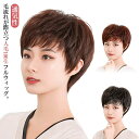 人毛100% 送料無料 自然 送料無料 人毛 レディース かつら 女性 ショート かつら 人毛ウィッグ ボブ ウイッグ ショートヘア 医療用ウィッグ 医療用 男...
