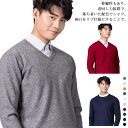 長袖 メンズ シンプル 春 Vネック ビジネス 薄手 秋冬 プレゼント ニット トップス カットソー 無地 グレー 暖かい 防寒 洗える 父の日 ギフト ニット...