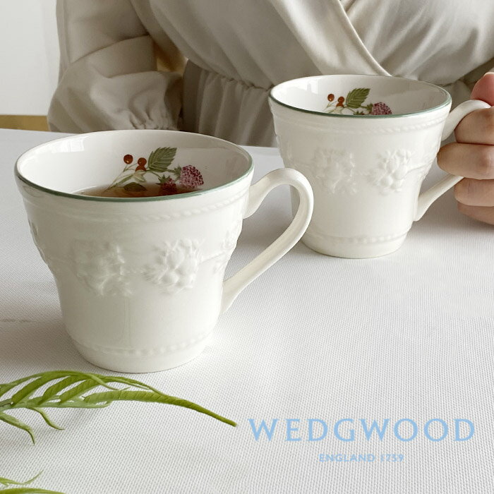 ڴָ ݥ5 ۥåå եƥӥƥ 饺٥꡼ ޥ ڥ 350ml 1054004 wedgwood ޥå ڥ 礭 ֥  mug cup  ƫ 뺧  ۽  ꥹޥ ץ쥼 եȡʡ