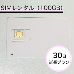 レンタルSIM（100GB） 30日延長プラン※返送料お客様負担