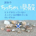 本物の貝殻とヒトデのセット ※訳あり※ ・ヒトデが入っていない ・ヒトデが入っているが欠けていたり割れている 上記のいずれかのお届けとなります。ご了承の上ご購入ください。 とても小さい貝殻とヒトデです。 ミール皿にの中にも収まる小ささ！レジンにもネイルにも使えます ヒトデをネイルに使用する場合、とても壊れやすいので、ヒトデにジェルを塗って固めてからご使用ください。 ・固体によって、中に入っている貝殻の種類や数量が異なります。写真を参考にしてください。 ・天然の貝殻です。ヒトデや貝はとても壊れやすいので、輸送中に欠けたりすることがあります。また最初から欠けてる場合もあります（検品はしっかりいたしますが、見つけられない場合もあります。ご了承下さい）本物の貝殻とヒトデのセット ※訳あり※ ・ヒトデが入っていない ・ヒトデが入っているが欠けていたり割れている 上記のいずれかのお届けとなります。ご了承の上ご購入ください。 とても小さい貝殻とヒトデです。 ミール皿にの中にも収まる小ささ！レジンにもネイルにも使えます ヒトデをネイルに使用する場合、とても壊れやすいので、ヒトデにジェルを塗って固めてからご使用ください。 ・固体によって、中に入っている貝殻の種類や数量が異なります。写真を参考にしてください。 ・天然の貝殻です。ヒトデや貝はとても壊れやすいので、輸送中に欠けたりすることがあります。また最初から欠けてる場合もあります（検品はしっかりいたしますが、見つけられない場合もあります。ご了承下さい）