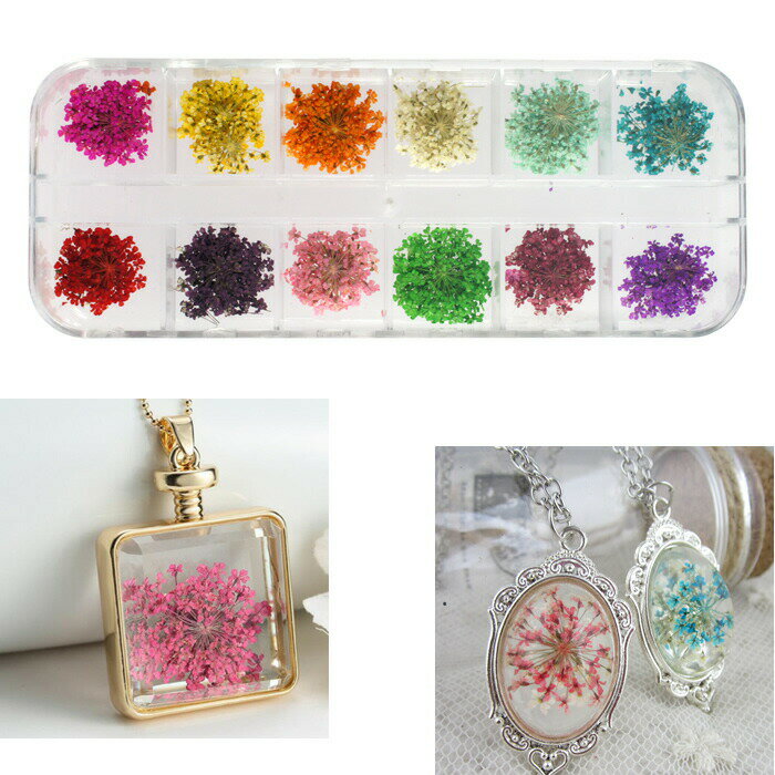 レースフラワー 12色 小さい押し花が沢山 本物の押し花セット ケース入り リアルドライフラワー ネイル 用 パーツ 押し花 花 レジン アクセサリー ジェルネ...