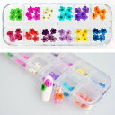 押し花 ネイルパーツ ネイルジェル ネイルサイズの小さい花だけ 本物の押し花 60枚 セット ケース入り リアルドライフラワー ネイル用 ドライフラワー フラワ...