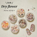 ドライフラワー 押し花 押花 花びら お花 プリザーブドフラワー ジェルネイル ネイルパーツ ネイルアート アクセサリー作りにも 小花 ハンドメイド 春