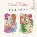 ドライフラワー プリザーブドフラワー花材 福袋 アソート レジン封入用 アクセサリーパーツ 花 押し花