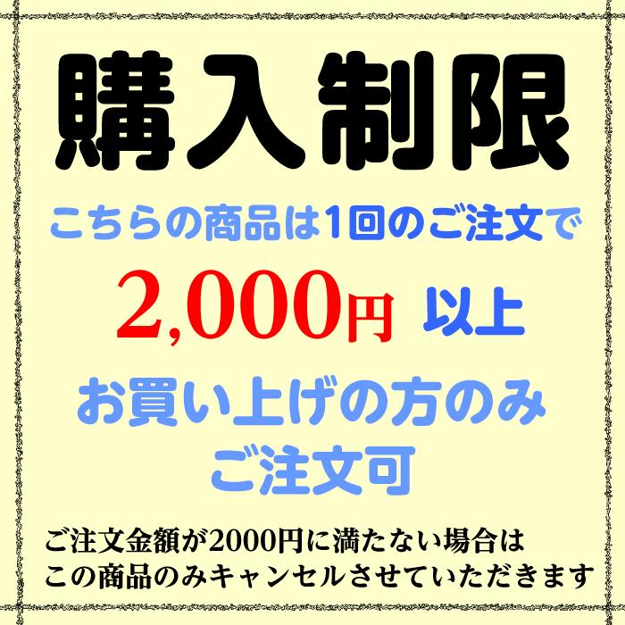 【2000円以上購入で1個買える】1円　訳あり アルファベット イニシャルホログラム シルバー＆ゴールド ネイルパーパーツ小さい容器×12個ケース入り 激安可愛いホログラム レジンパーツ レジン封入