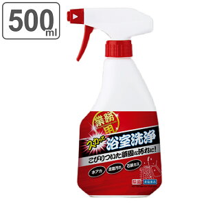 お風呂洗剤 500ml 業務用 スカッと浴室洗浄 （ 風呂 バス 浴室 浴槽 湯アカ 皮脂 掃除 清掃 湯垢 風呂洗剤 業務用洗剤 石鹸カス 洗剤 汚れ 床 壁 お風呂用洗剤 湯あか バスクリーナー ）【3980円以上送料無料】