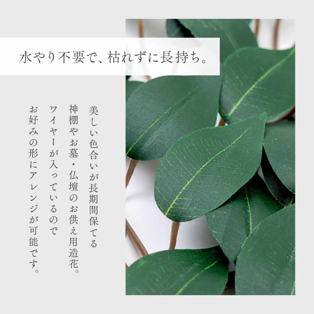 ��ê�� �� 2«�� �⤵50cm ¤�� ������ ���� �� ���� ������ �ե��������꡼�� �Ϥ�ʤ� �崹������ ������ �涡�� �ե������ե� �� �� �͹� ��ê ����� ����� ������ ���ŵ� �������� �ˡ�3980�߰ʾ�����̵����