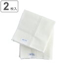 ふきん イオシルカルチャーふきん 2枚入 ( レーヨン100% 布巾 フキン ふきん テーブル拭きテーブル拭きクロス キッチンクロス 食器拭き レーヨン 皿用 ...