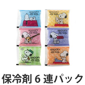 保冷剤　6連パック　スヌーピー　子供用　キャラクター （ 保冷用品 お弁当グッズ ランチグッズ ）【3980円以上送料無料】